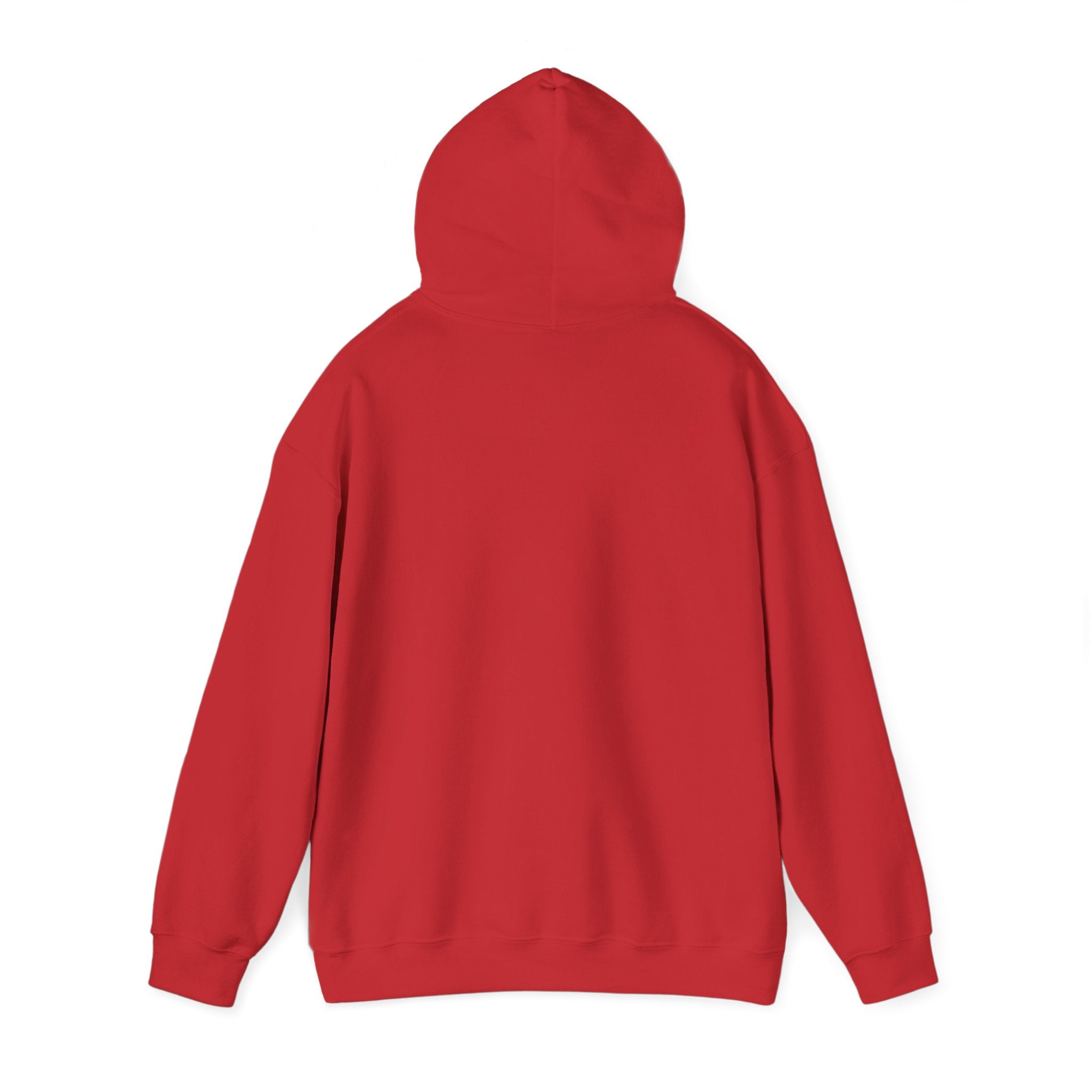 Cute Smiling Turtle Hoodie — Cozy Cartoon Tortoise Pullover