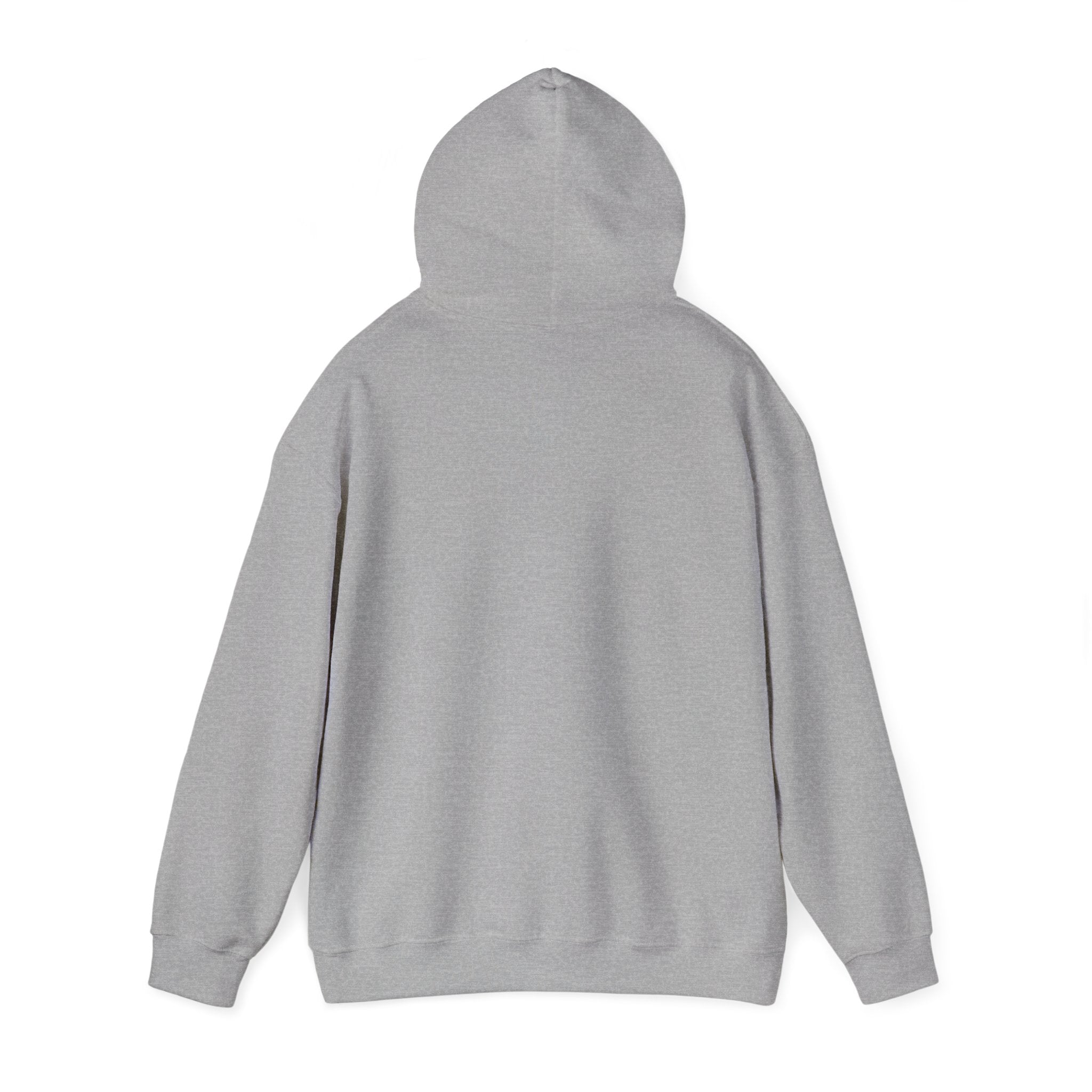 Dolphin Wave Hoodie — Cute Leaping Dolphin Graphic Pullover