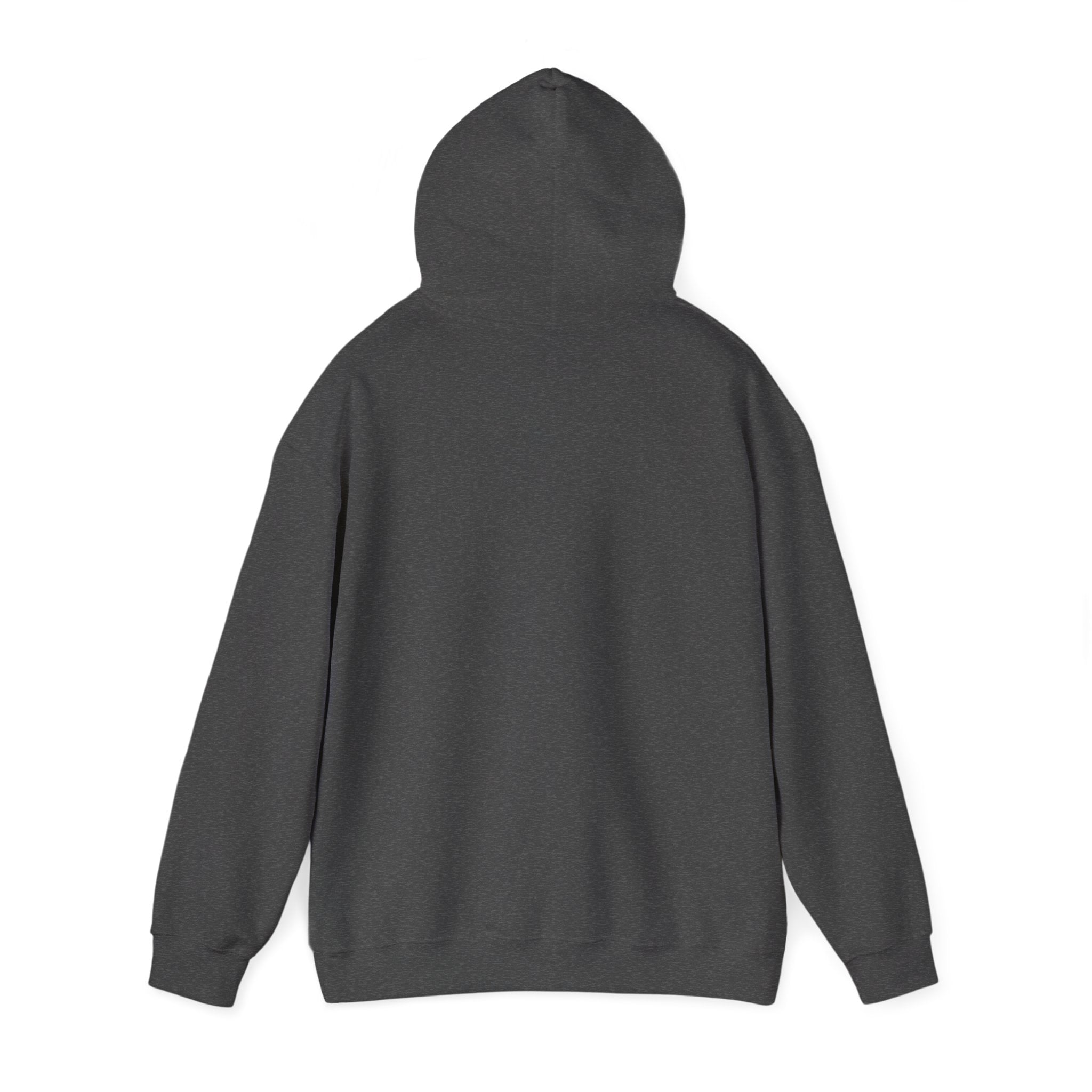Dolphin Wave Hoodie — Cute Leaping Dolphin Graphic Pullover