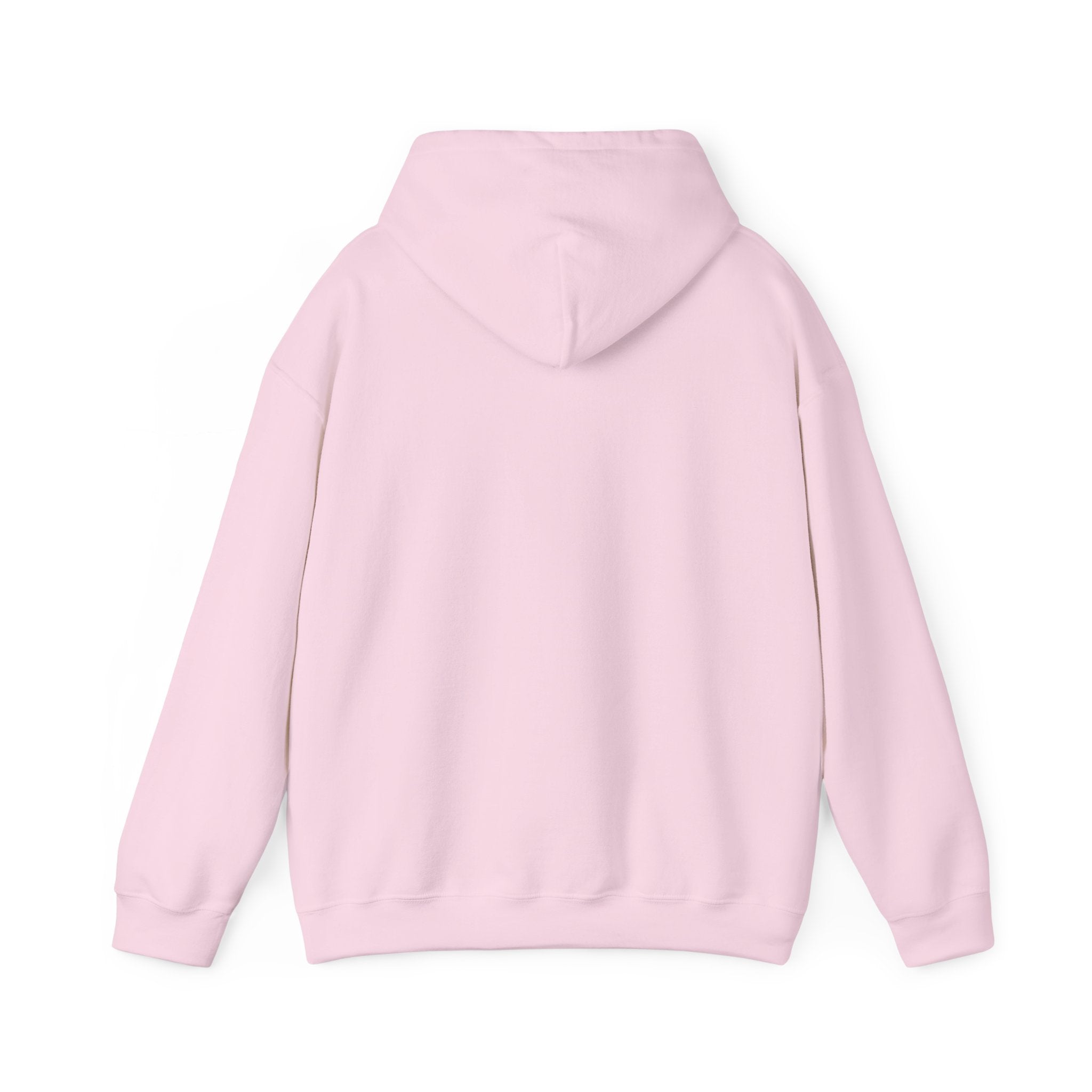 Will Work for Honey Hoodie — Cute Bear Graphic Sweatshirt